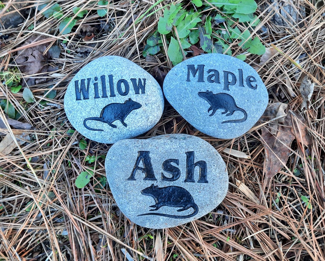Pet Memorial Stone Rat or Mouse Personalized Engraved 3 to 4 Inch Real ...