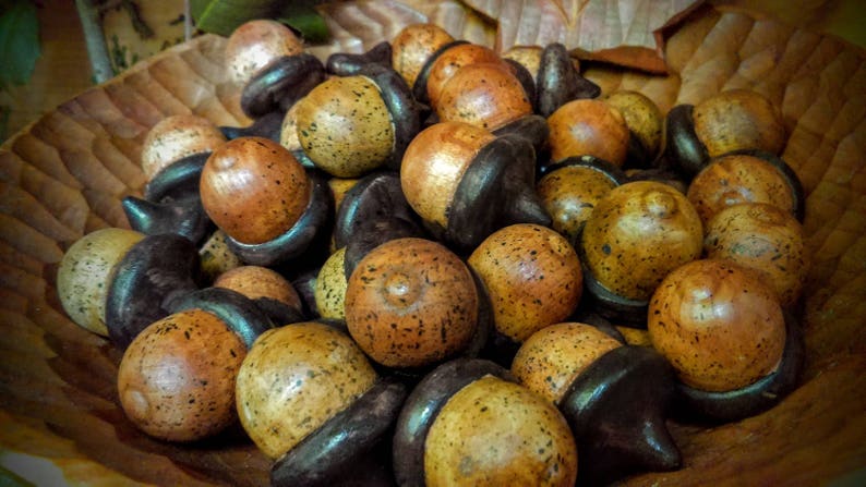 Carved Wooden Acorns 20 total | Etsy