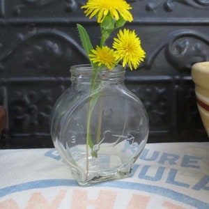 Puede incluir: Un jarrón de vidrio transparente con forma de reloj con flores de diente de león amarillas en su interior. El jarrón está sobre una superficie blanca con texto azul y rojo.