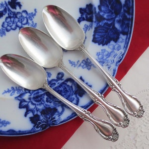 Può includere: Tre cucchiai d'argento con manici decorati, appoggiati su un piatto con un motivo blu e bianco. I cucchiai sono lucidi e riflettono la luce.