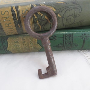 May include: A vintage, rusty metal key with a circular handle and a rectangular bit. The key is set against a backdrop of antique books with green and gold covers, suggesting a theme of history or nostalgia.