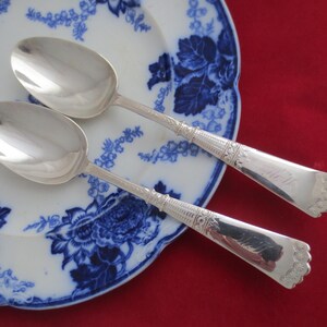 Peut inclure: Deux cuillères en argent avec des manches ornés reposant sur une assiette à motif floral bleu et blanc. Les cuillères ont une finition polie et sont gravées des initiales "M.H."