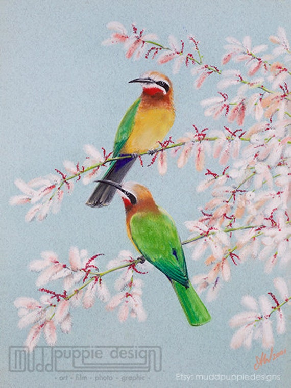 Oiseau Estampes White Faced Guêpiers Dessin Craie Pastel Rouge Bleu Vert Cadeau Nature Réaliste Laisse Wall Art Plumes Fleurs Printemps