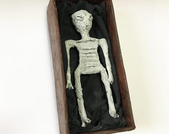 Alien mummy, handmade sculpture, cabinet of curiosities, archaeological relic, macabre art, unusual object, alien skeleton, creepy decor