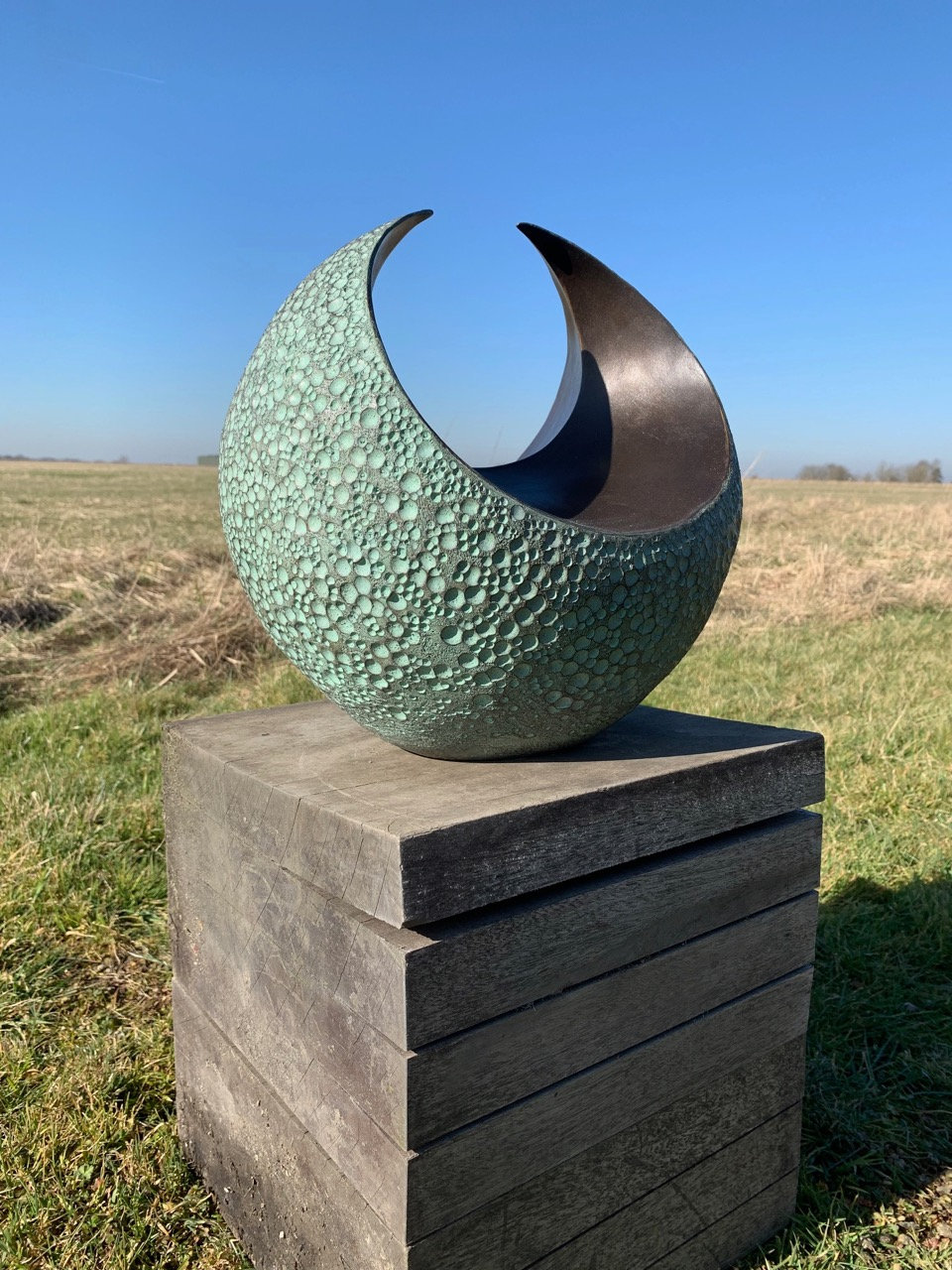 Curvation mediumSculpture Limited Edition bronze and resin sculpture