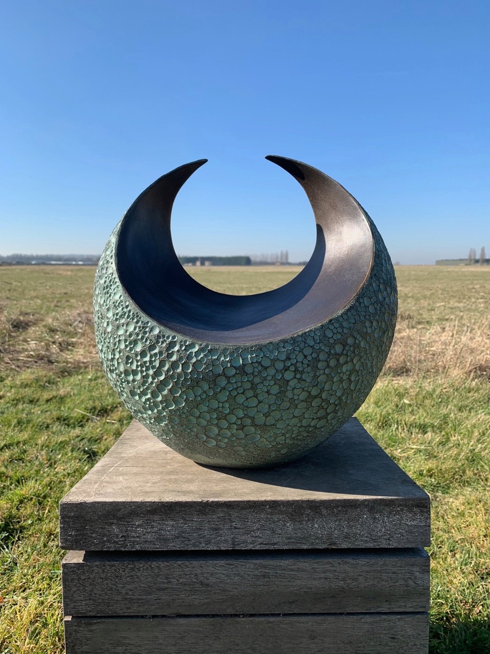 Curvation mediumSculpture Limited Edition bronze and resin sculpture