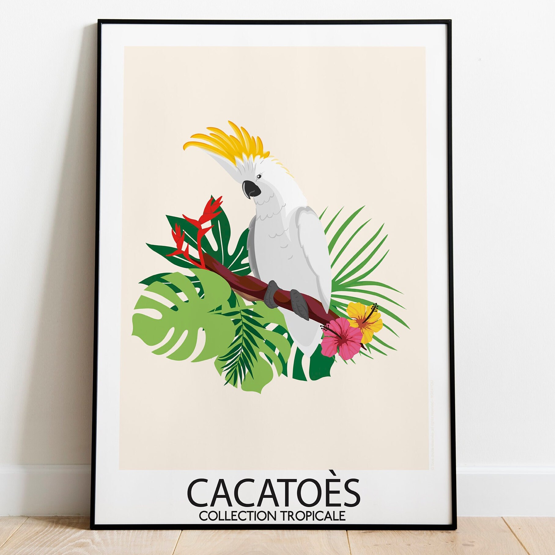 Les Plus Beaux Oiseaux Tropicaux en Affiches Illustrées. Collection Tropicale, avec Toucan, Quetzal,