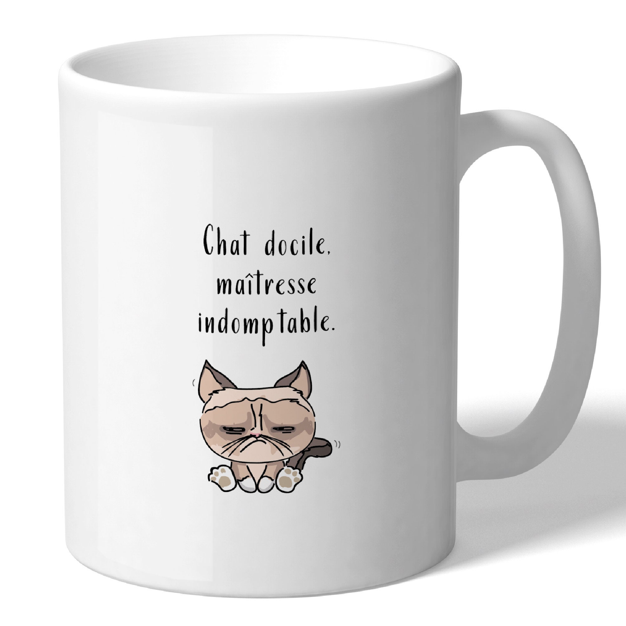 Les Plus Beaux Mugs Humoristiques. Cadeau Pour Un(E Collègue de Bureau, Ami(E, ... Illustration Chat