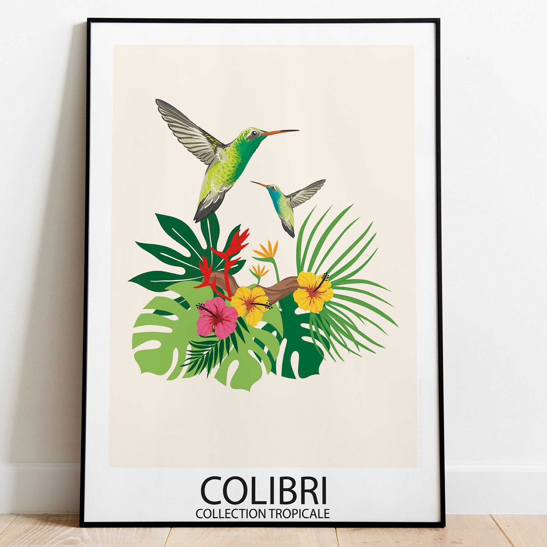 Les Plus Beaux Oiseaux Tropicaux en Affiches Illustrées. Collection Tropicale, avec Toucan, Quetzal,