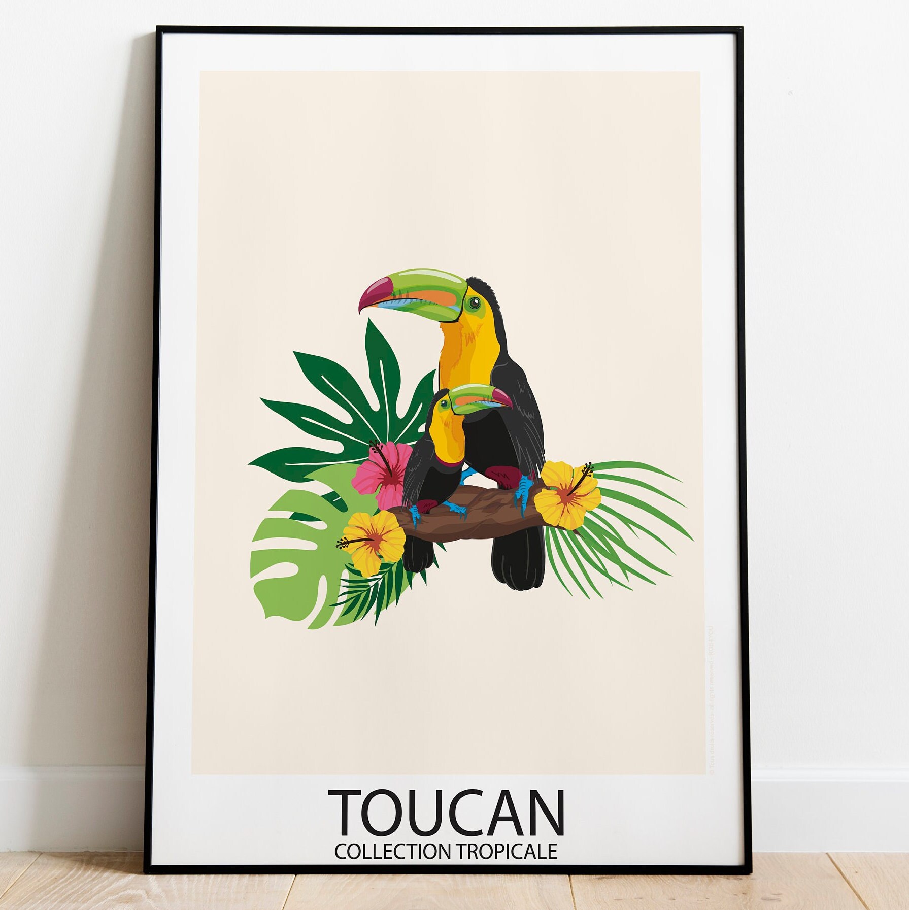 Les Plus Beaux Oiseaux Tropicaux en Affiches Illustrées. Collection Tropicale, avec Toucan, Quetzal,
