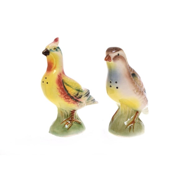 Bird Salt and Pepper Shakers Etsy