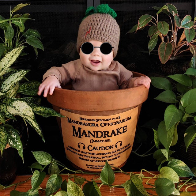The Mandrake Root Hat Beanie Newborn Teen Kid Adult -  Portugal