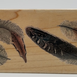 May include: A wooden block stamp with a design of four feathers in black, gray, and brown on a light wood background.
