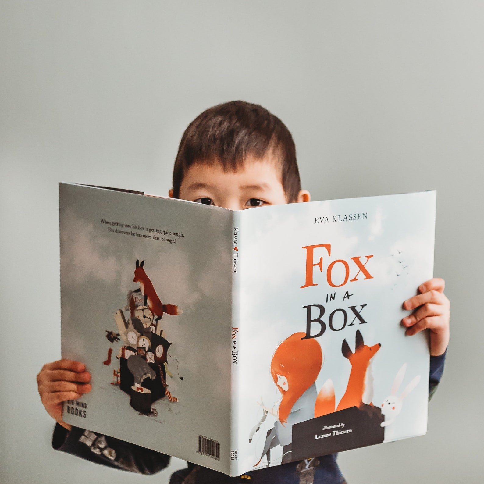 Fox in a Box HARDCOVER Childrens