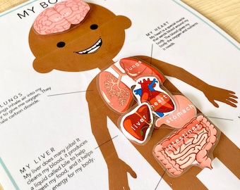 MY BODY human anatomy matching game - Darker skin. learn human organs, preschool busy book, preschool anatomy, kindergarten anatomy