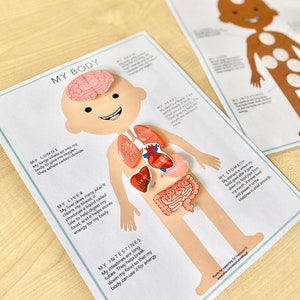 MY BODY human anatomy matching game - Light skin. learn human organs, preschool busy book, preschool anatomy, kindergarten anatomy