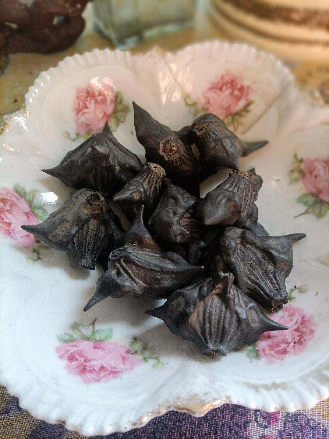 Devils Pods/ Bat Nuts Natural Curio Set of 2 (protection, Banishing ...
