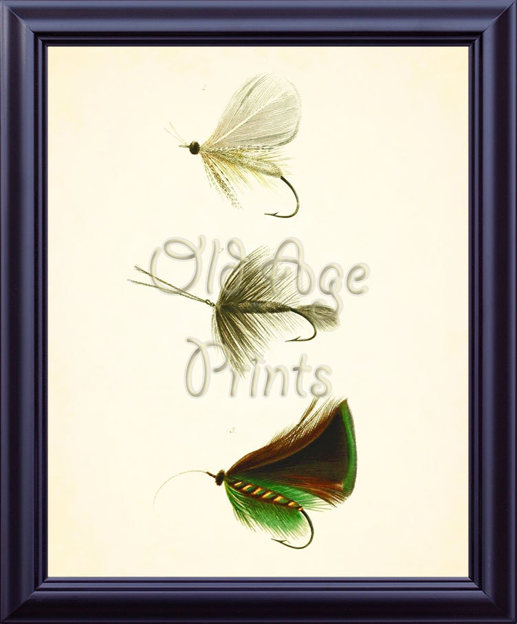 Antique Fishing LURES and FLIES 8x10 Art Print Vintage 1849 Etsy