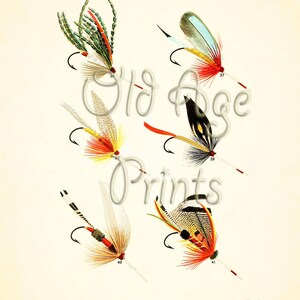 May include: An antique print featuring six colorful lake flies, each with a unique design of feathers and threads. The print includes the text "LAKE FLIES" at the top and "Made by C.F. ORVIS, Manchester. Vt" at the bottom.