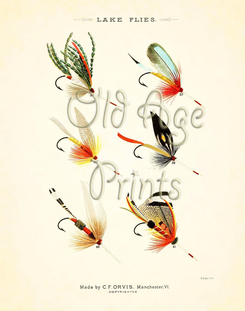 ORVIS Favorite Flies Fly Fishing LAKE Flies 11x14 Vintage Art