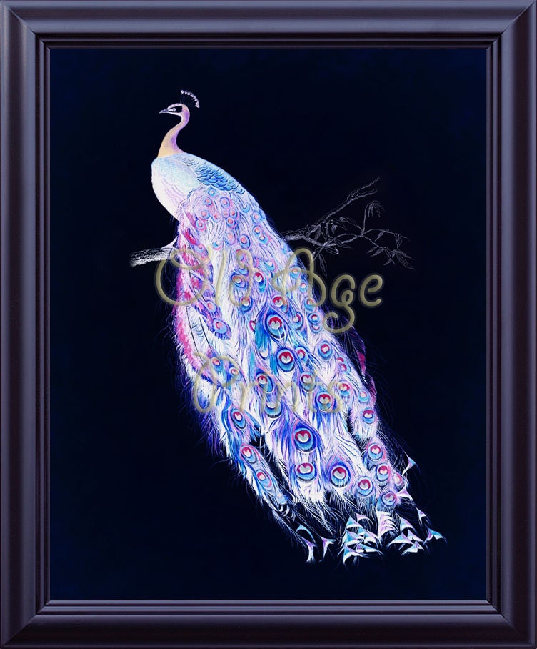 Unique Antique French Night Peacock Bird Print 8x10 Art Print Etsy