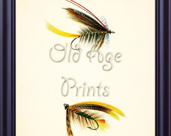 Wheatley Antique Sport Fishing LURES and FLIES 8x10 Art Print Vintage Lithograph Plate 7 Nautical Marine Sea Life Beach House Decor SF0104
