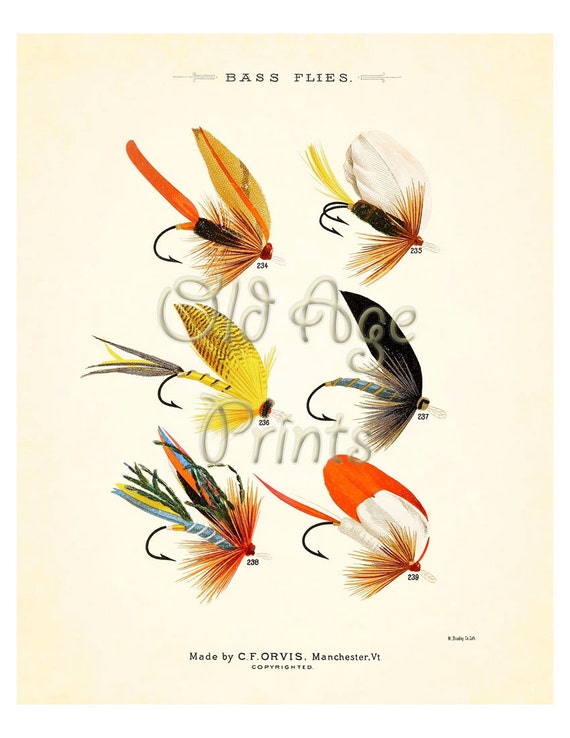 ORVIS Favorite Flies Fly Fishing BASS Flies 8x10 Vintage Art Print Bright  Colorful Antique Plate Home Wall Art Decoration to Frame SF0206 -  UK