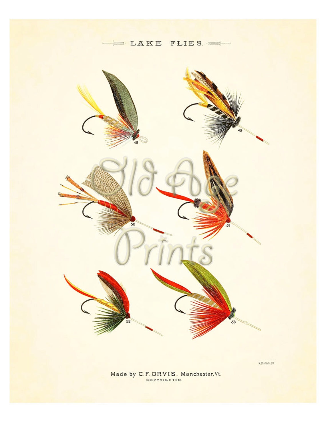 ORVIS Favorite Flies Fly Fishing LAKE Flies 8x10 Vintage Art Etsy