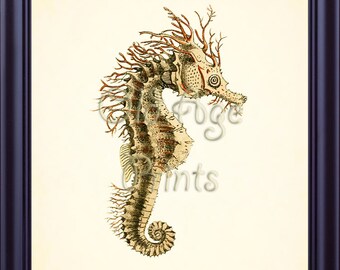 Sea Life Print Vintage Brown SEA HORSE 8x10 Art Print Nautical Print Ocean Antique Plate 2 Natural Science Beach House Wall Decor OL0403