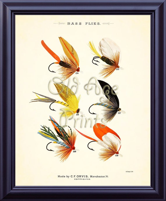 Buy ORVIS Favorite Flies Fly Fishing BASS Flies 8x10 Vintage Art
