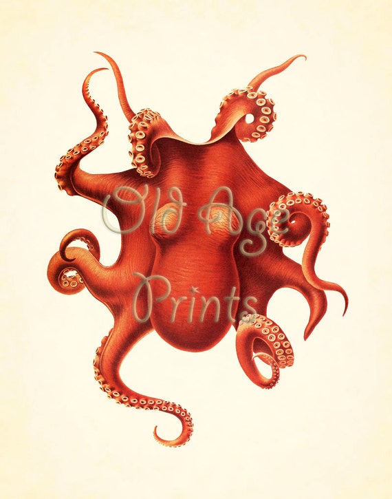 Download Decor antique nautique For iPhone Free