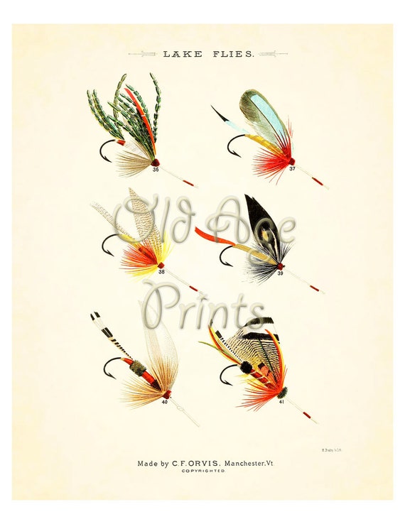 ORVIS Favorite Flies Fly Fishing LAKE Flies 8x10 Vintage Art Print Bright  Colorful Antique Plate Home Wall Art Decoration to Frame SF0202 -   Canada