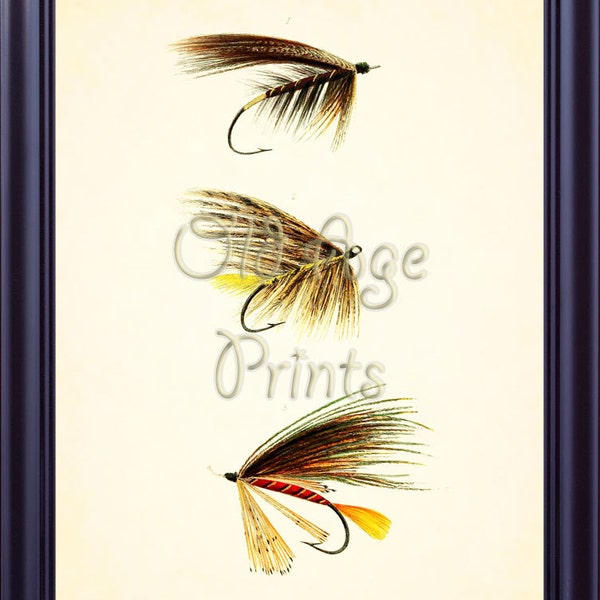 Antique Fishing Lures Frame Etsy