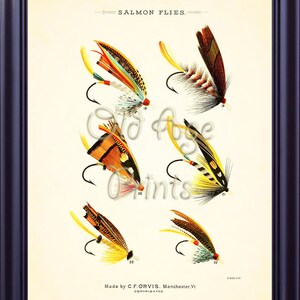 ORVIS Favorite Flies Fly Fishing SALMON Flies 8x10 Vintage Art