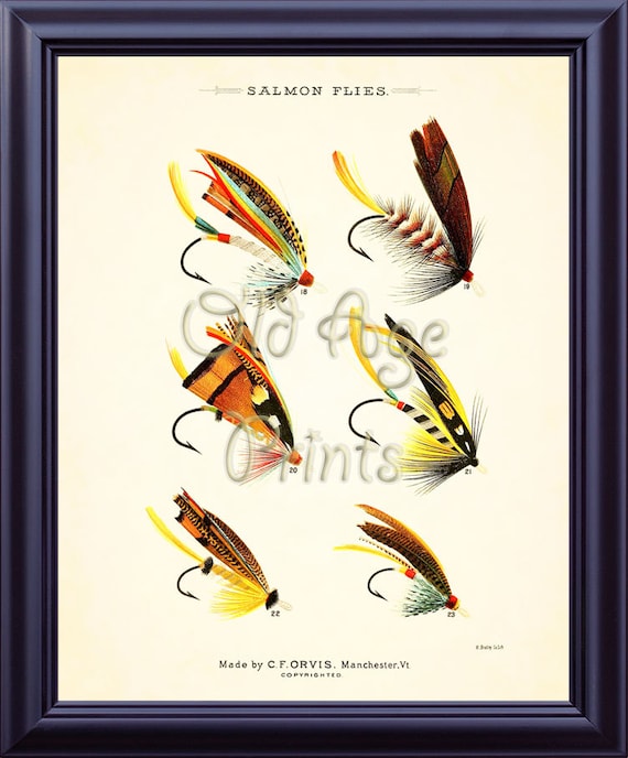 ORVIS Favorite Flies Fly Fishing SALMON Flies 8x10 Vintage Art Print Bright  Colorful Antique Plate Home Wall Art Decoration to Frame SF0204 