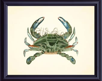 Antique Nautical Print Vintage BLUE Green CRAB Plate 1 8x10 Art Print Sea Life Ocean Creatures Natural Science Beach House Wall Decor OL0412