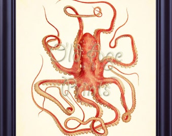 Antique Nautical Print Vintage Red OCTOPUS 8x10 Art Print Sea Life Ocean Marine Nature Plate Beach House Wall Art Decor Illustration OL0409