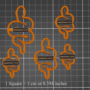 May include: Five different sized snake cookie cutters, ranging from 1.50 inches to 3.0 inches in size. The cookie cutters are orange and are shown on a gray grid background. The text "1 Square = 1 cm or 0.394 inches" is at the bottom of the image.