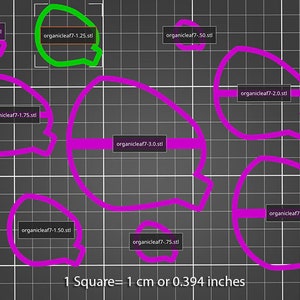 Op de afbeelding: Een afbeelding met omtrekken van bladeren in een raster, elk met een label. De omtrekken zijn roze, met één groene. De labels, zoals "organicleaf7-1.0.stl", zijn zwart. Het raster geeft aan dat 1 vierkant = 1 cm of 0,394 inch.