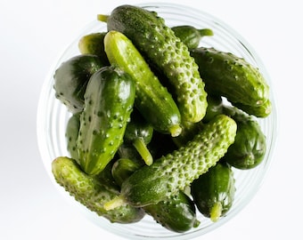 Parisian Pickling Pickler French Cornichon Cucumber Heirloom Premium Seed Packet