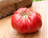 Pink Brandywine Sudduths Strain Beefsteak Heirloom Tomato Premium Seed Packet