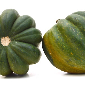 Table Queen Acorn Winter Squash Premium Fröpaket