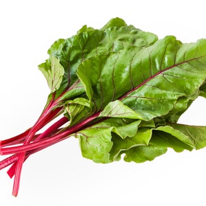 May include: A bunch of fresh green chard with red stems. The leaves are large and have a slightly crinkled texture.