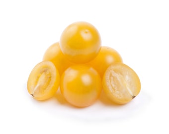 Coyote Yellow Heirloom Cherry Tomato Premium Seed Packet - Sweetest Tomato in the World