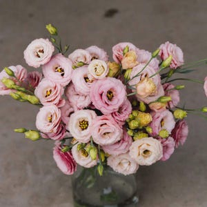 May include: A bouquet of pink and cream-colored lisianthus flowers in a clear glass vase. The flowers have multiple layers of delicate petals with yellow centers. Green stems and buds add contrast to the soft color palette.