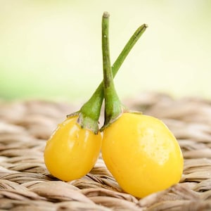 May include: Two bright yellow peppers with green stems on a woven brown surface.