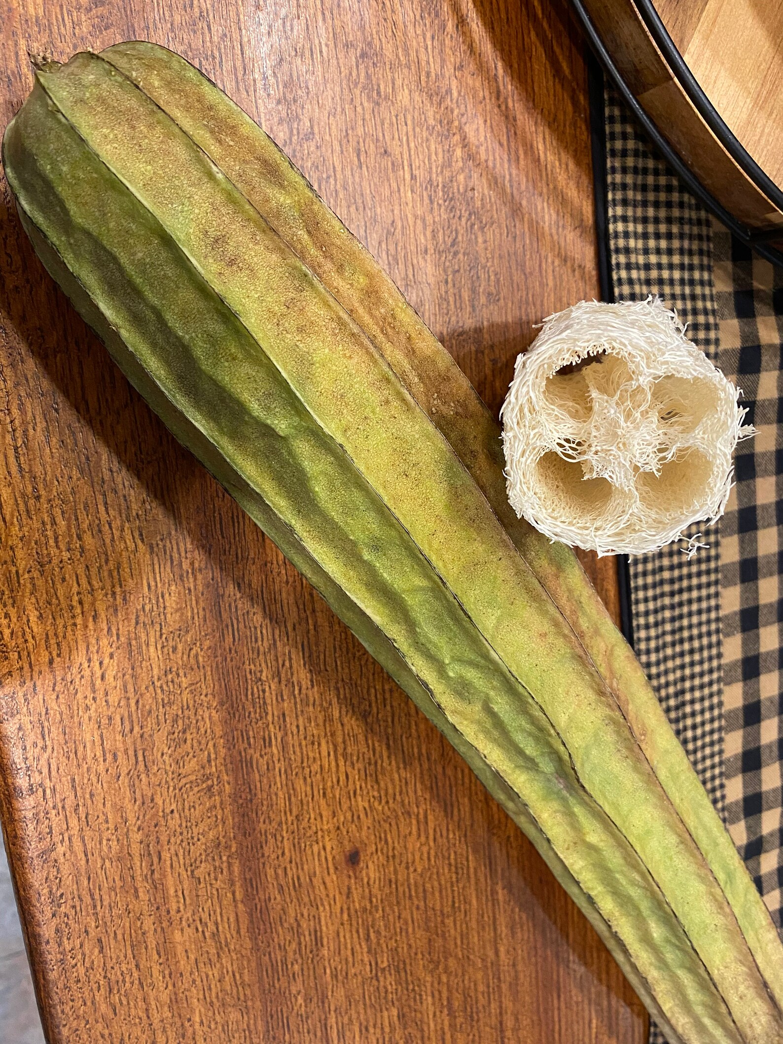 Luffa Acutangula Sponge Angled Chinese Okra Ridged Gourd Sinkwa Silky ...