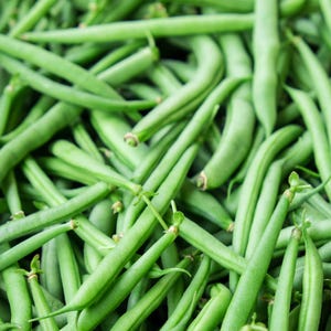 May include: A close-up image of a bunch of fresh green string beans. The beans are arranged in a pile, with some of the stems still attached.