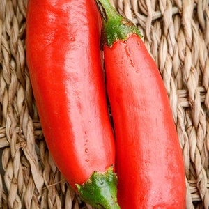 Pacchetto di semi premium di peperoncino peruviano Aji Colorado