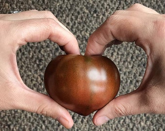 Dark Heart Heirloom Tomato Premium Seed Packet